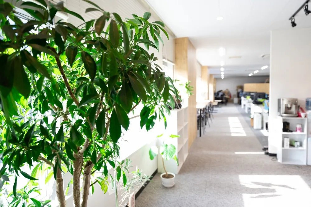 会社概要・アクセス